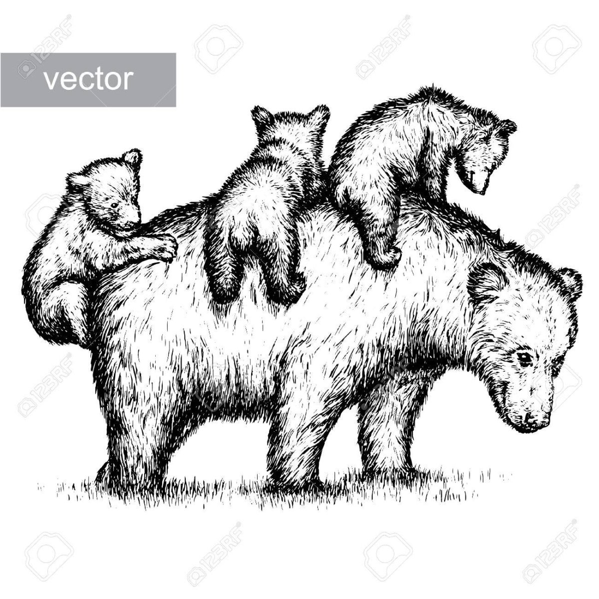 Вектор белый медведь мама и Медвежонок