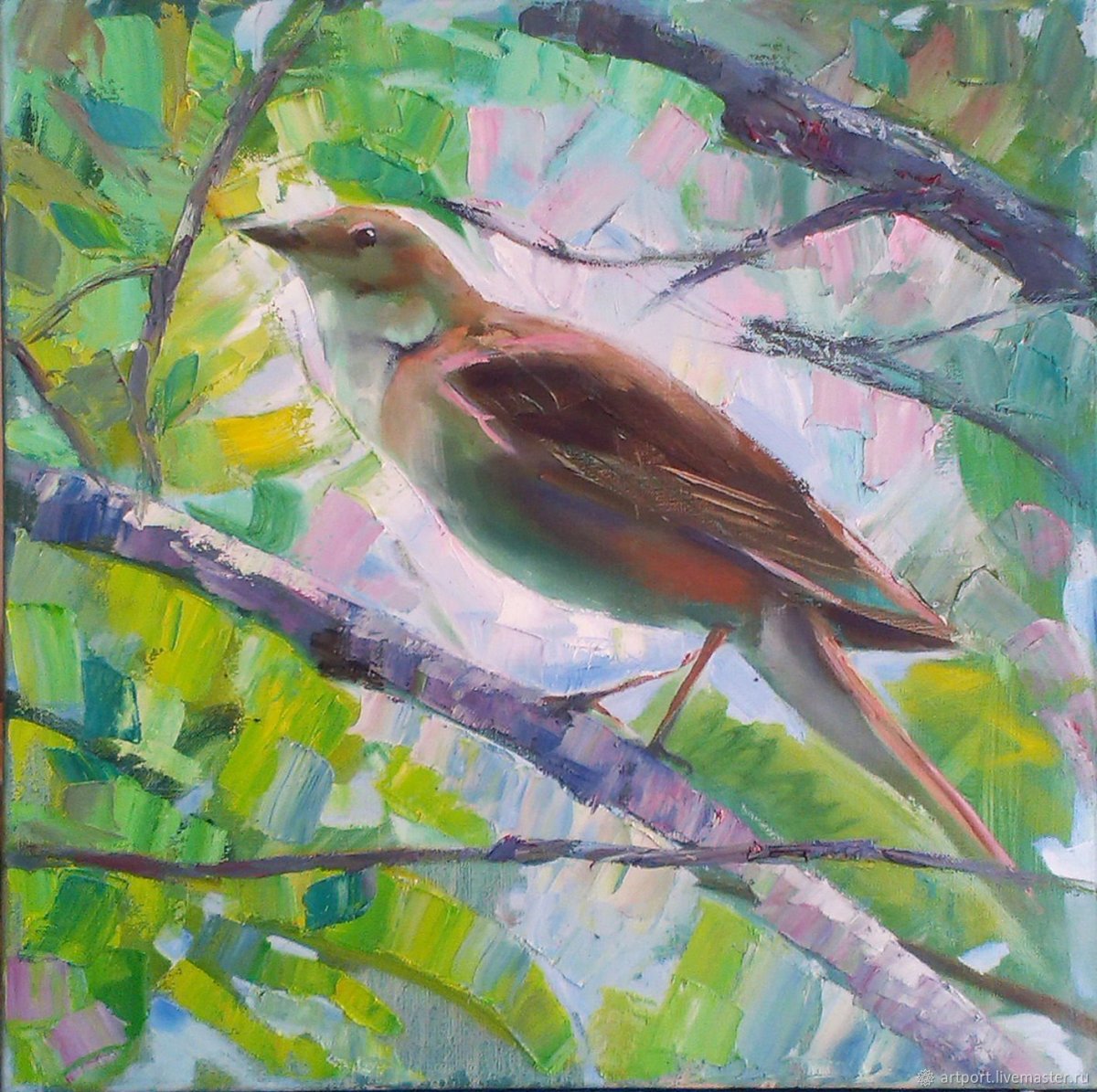 Жаворонок рисунок карандашом