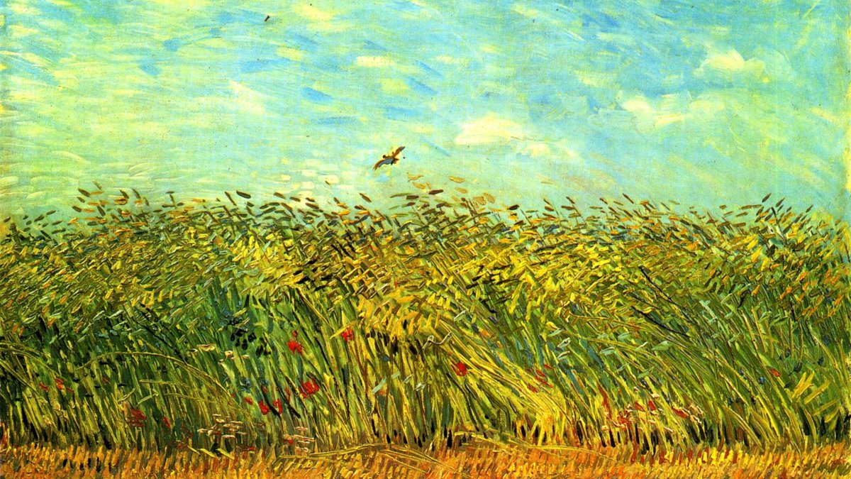 Птицы поют на рассвете