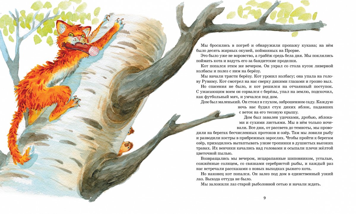 Книга кот ворюга Паустовский