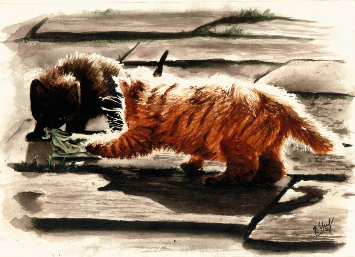 Кот ворюга арт