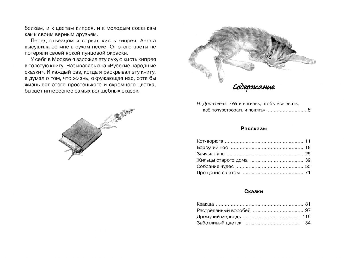 Рассказ Константина Паустовского кот