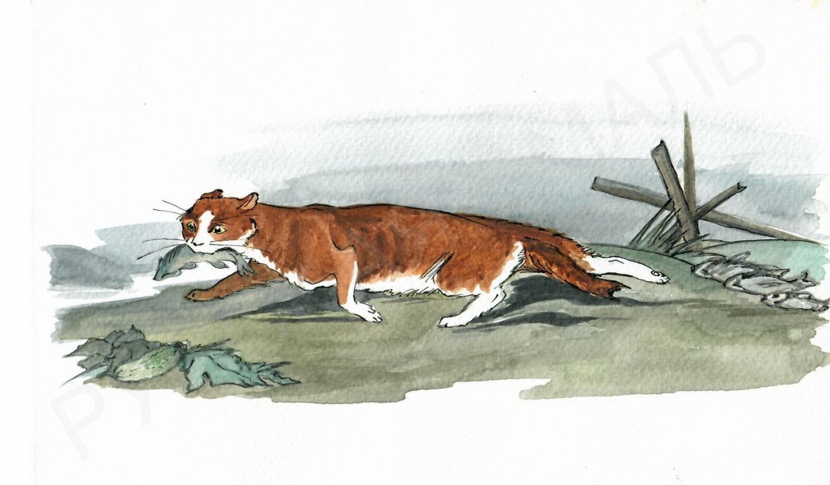 Кот ворюга рисунок для читательского дневника