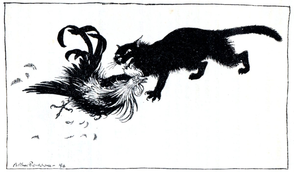 Кот гонится за петухом