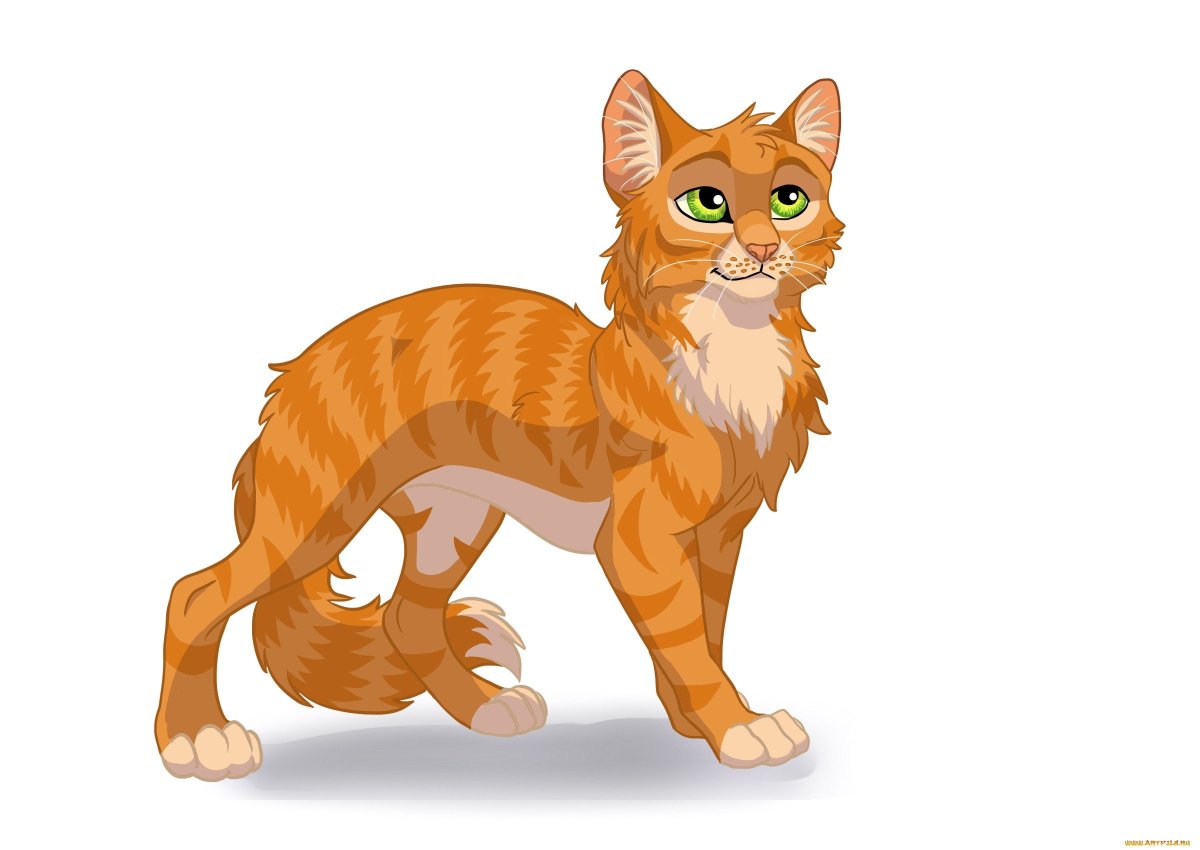 Коты Воители огонёк