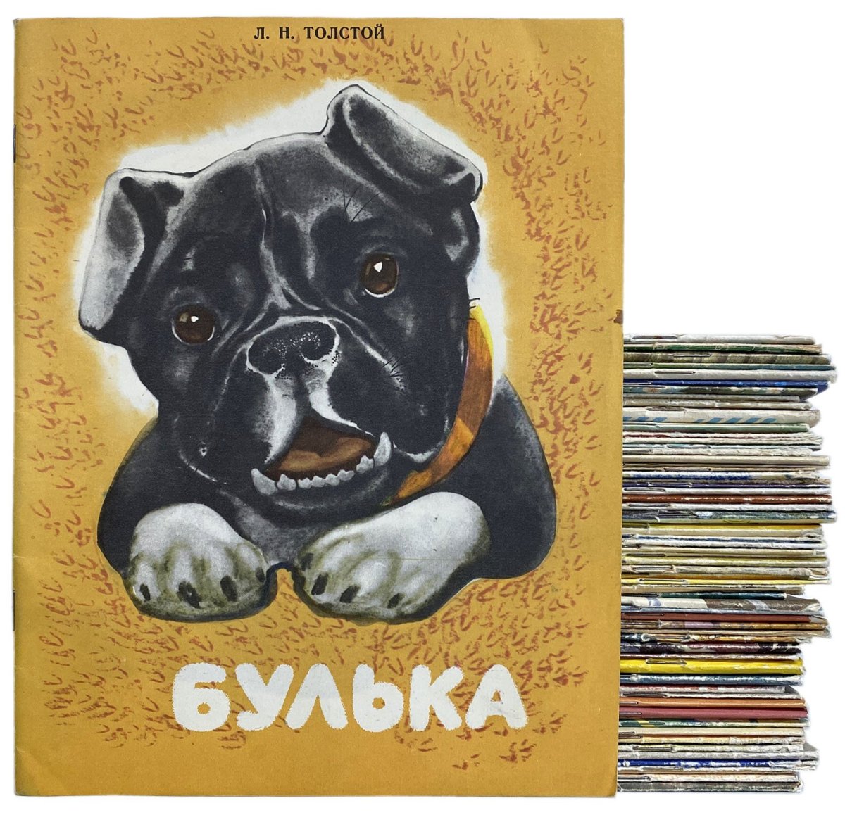 Толстой Булька иллюстрации к рассказу