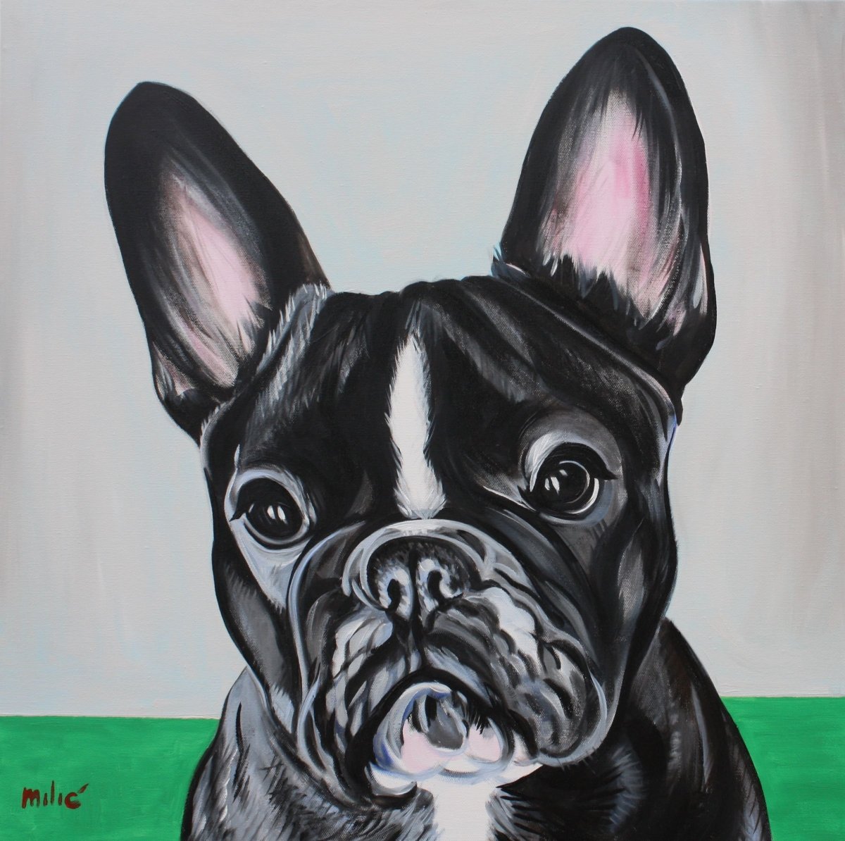 Раскраска бульдог