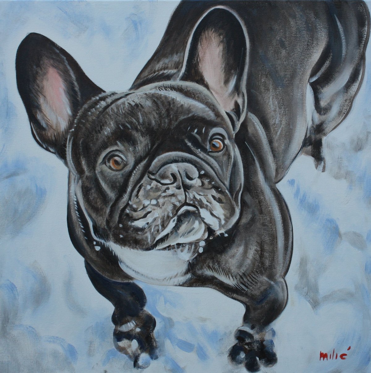 Маркетри французский бульдог
