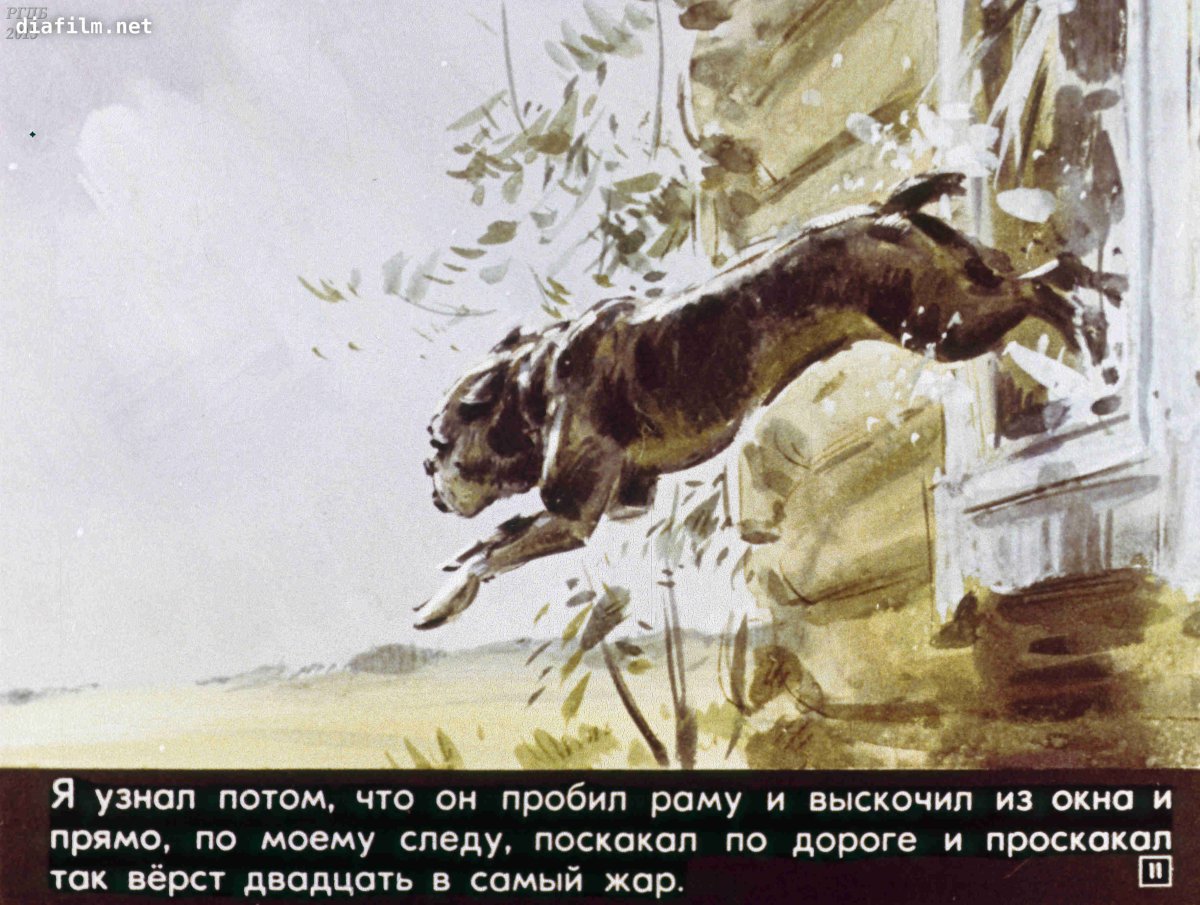 Раскраска французский бульдог