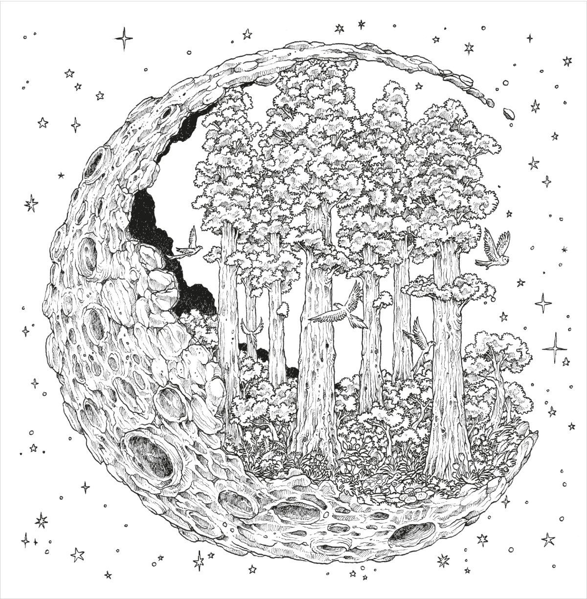 Керби Розанес Аниморфия