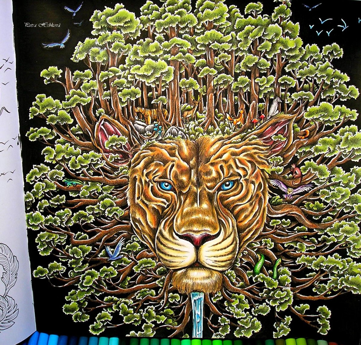 Иллюстрации Керби Розанеса