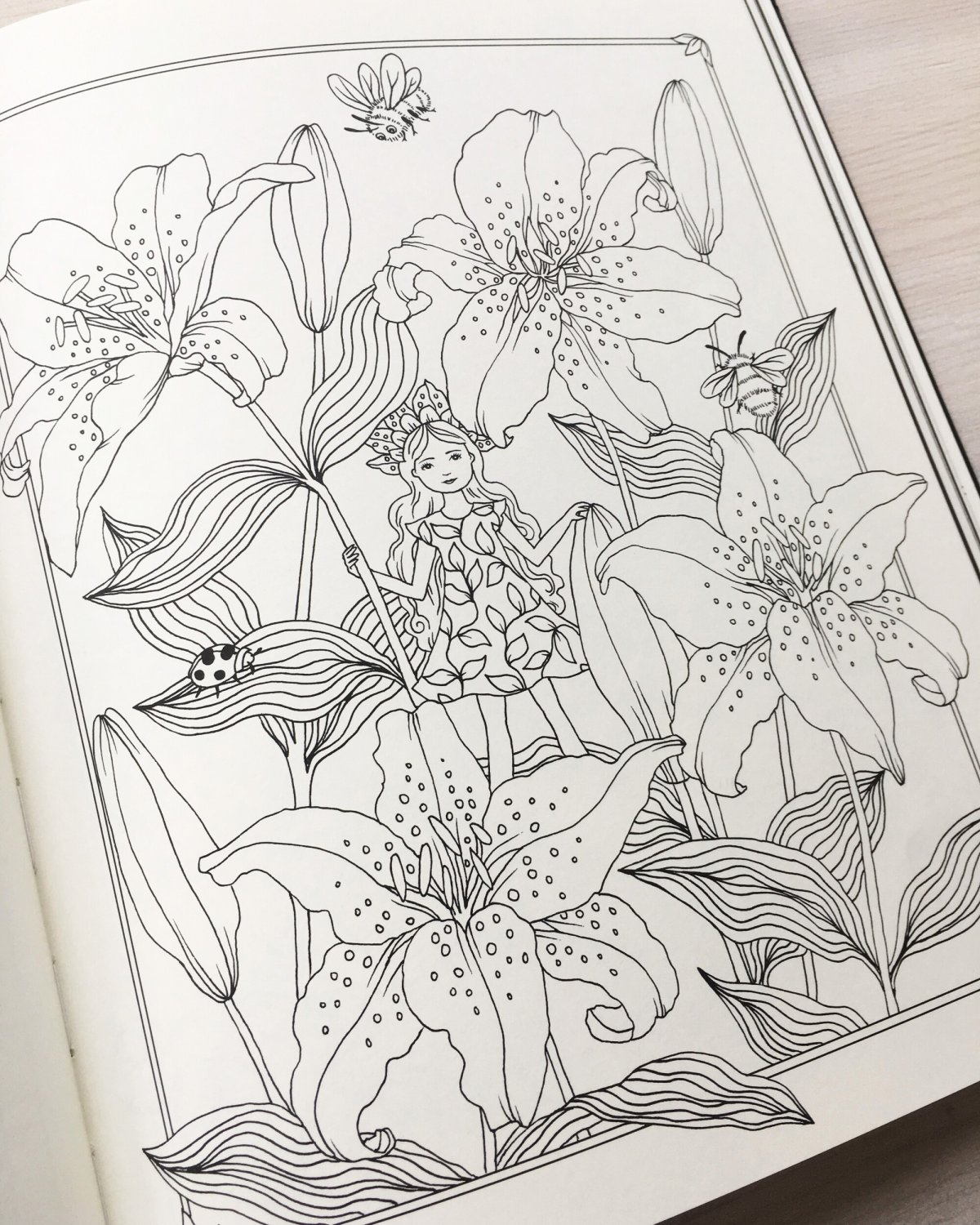 Раскраска Ботаникум Мария тролле