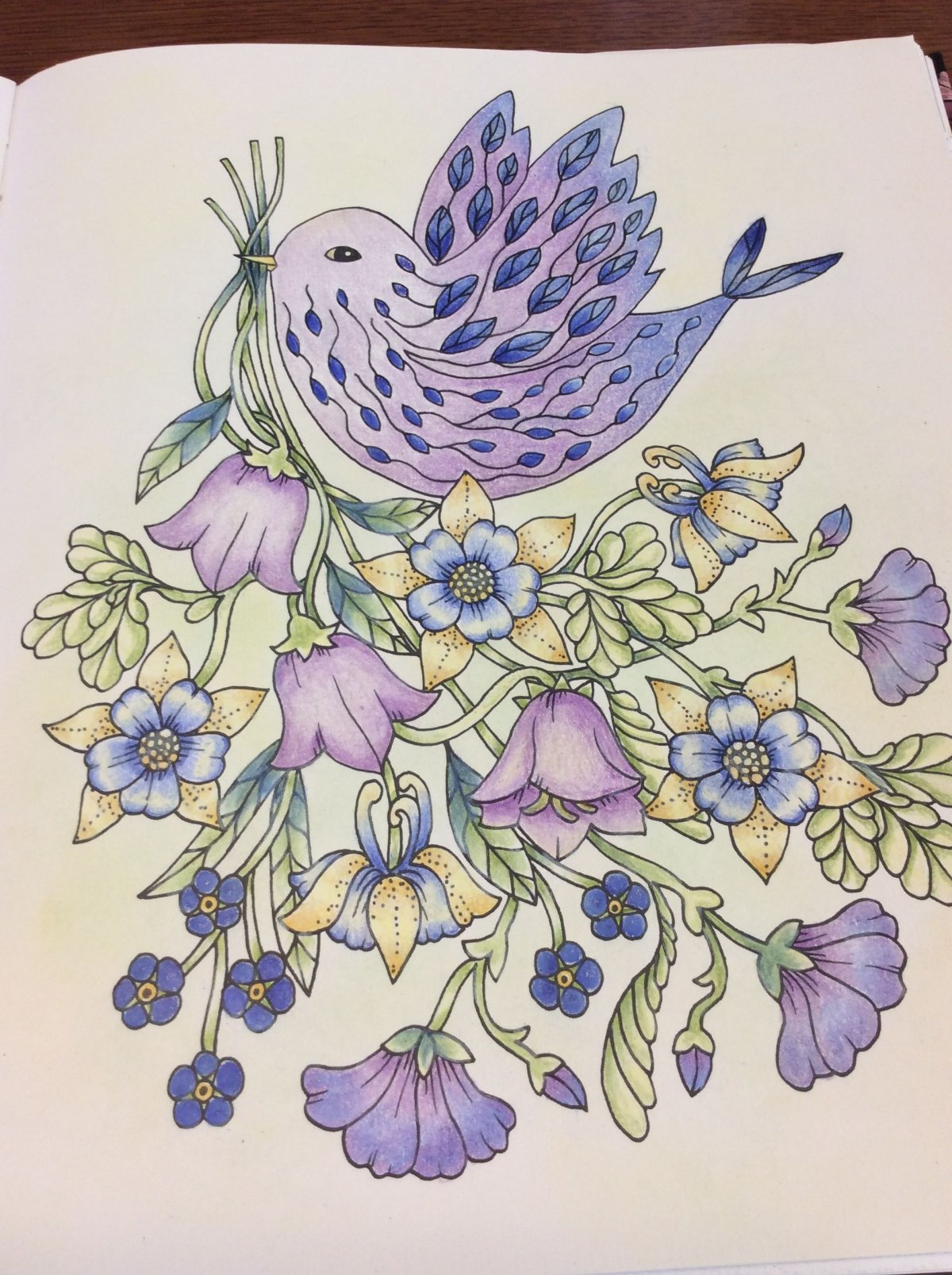 Мария тролле раскраски Сумеречный сад