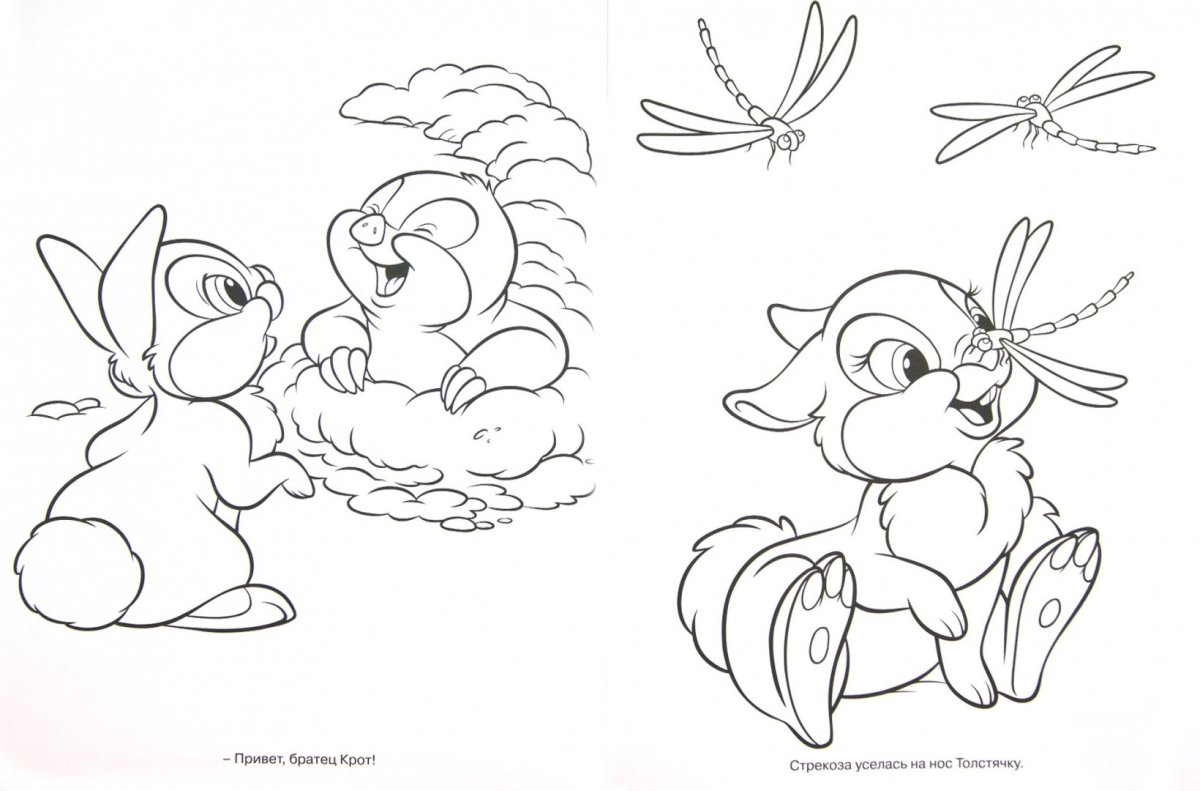 Раскраска к сказке заяц хваста для детей