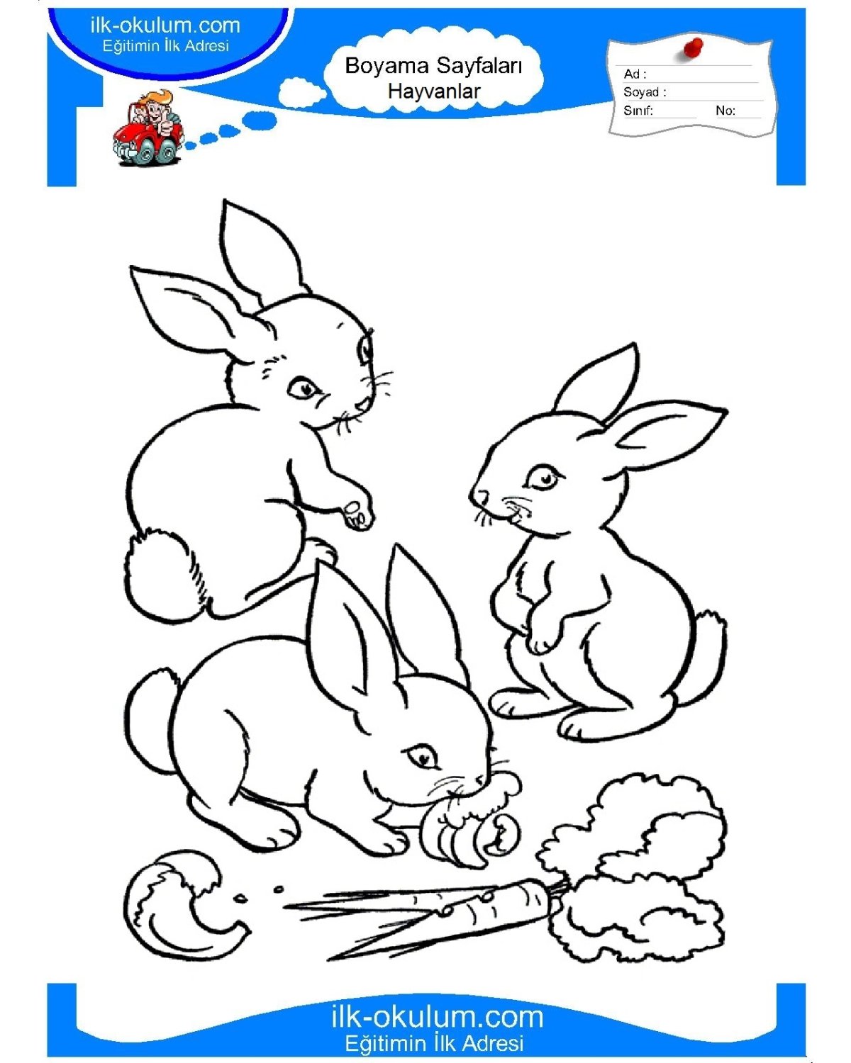 Заяц Коська раскраска