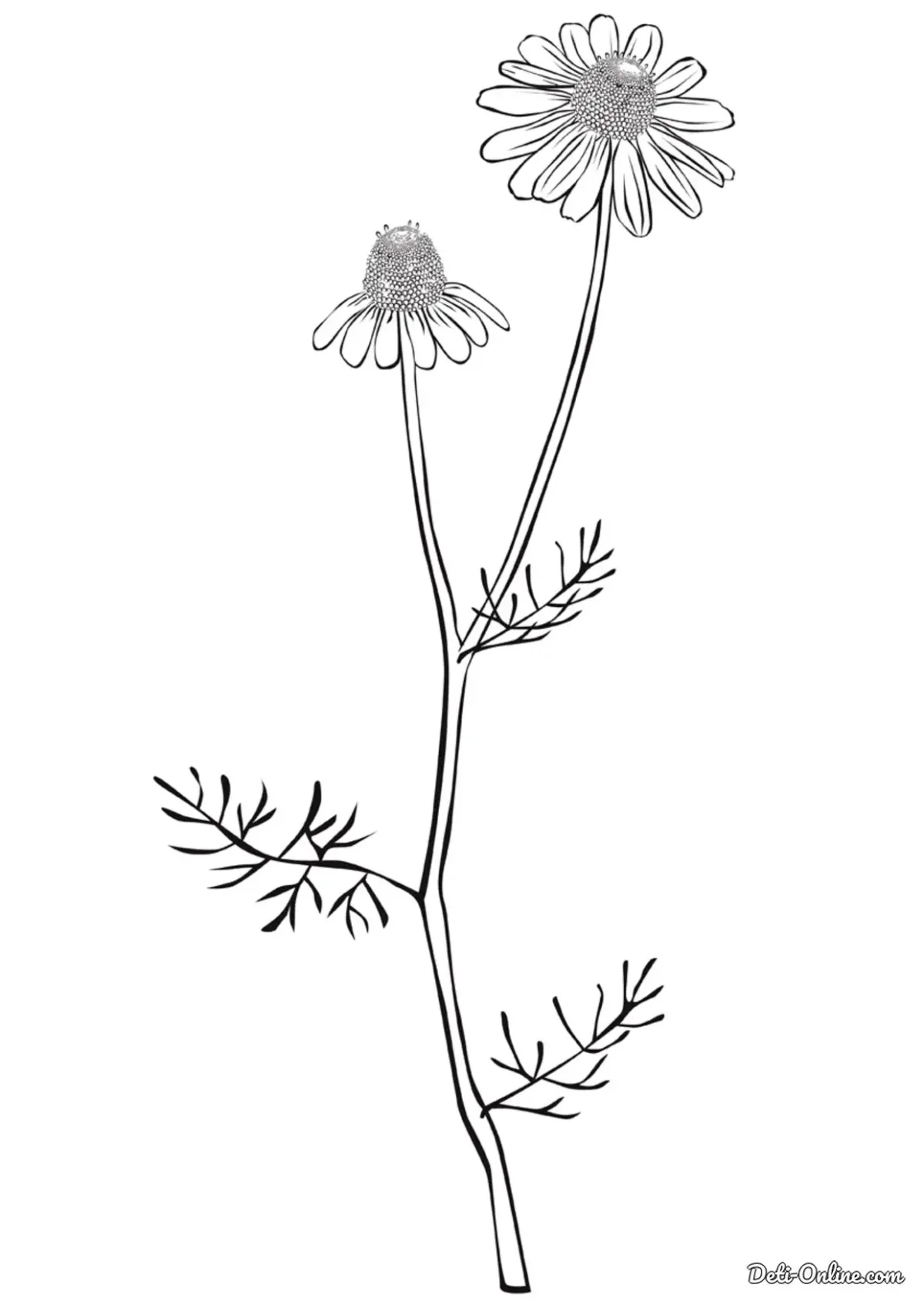 Подснежник рисунок для детей