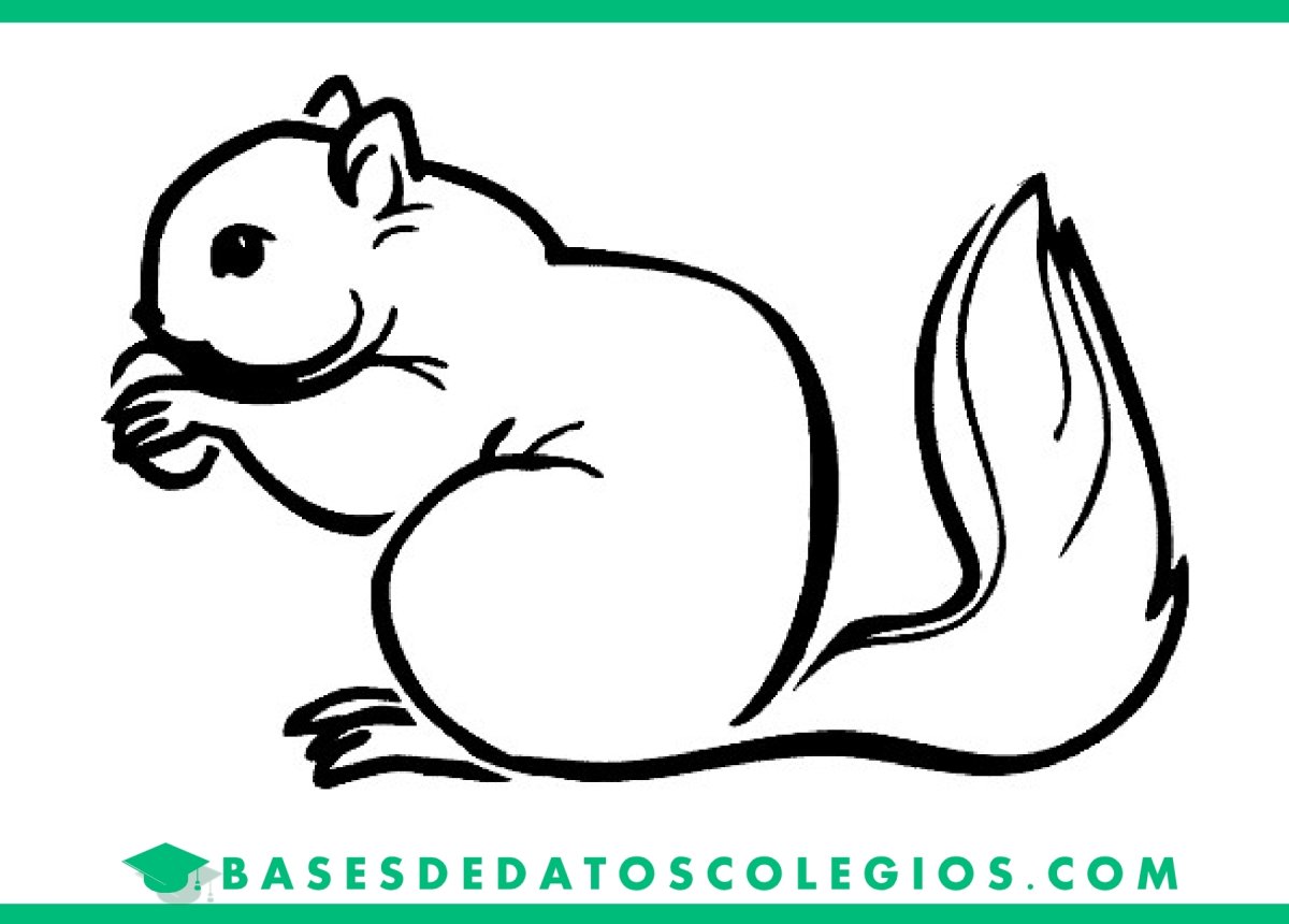 Контур белка для малышей