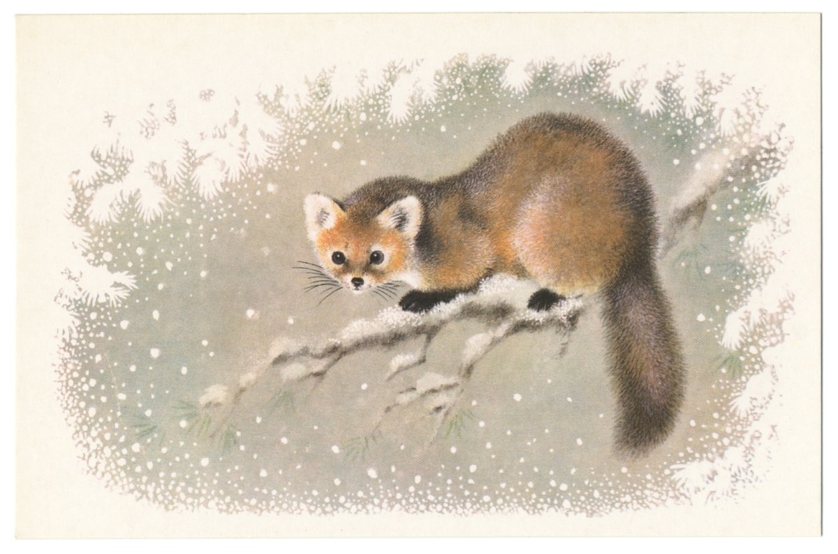 Соболь для детей