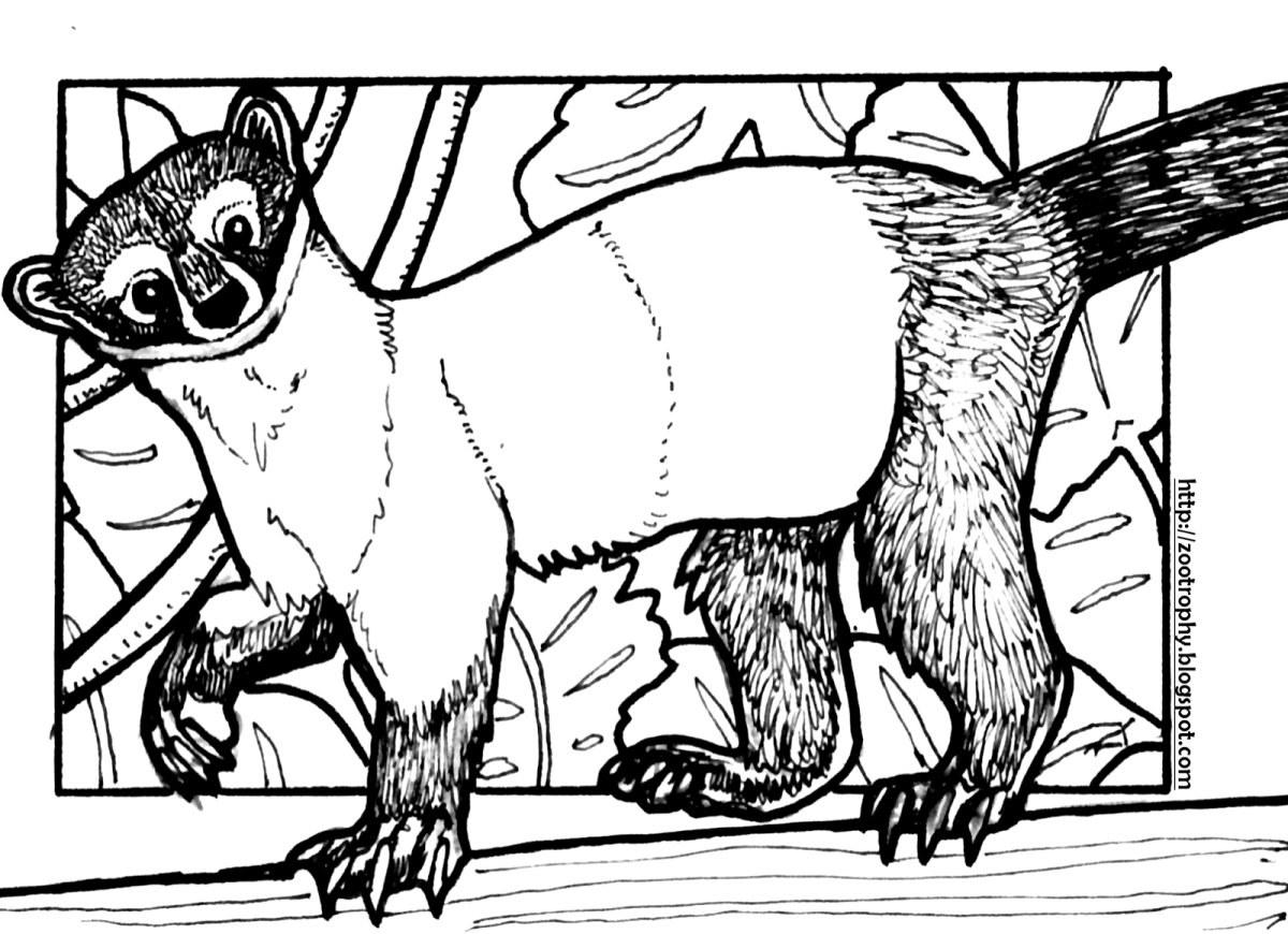 Харза раскраска