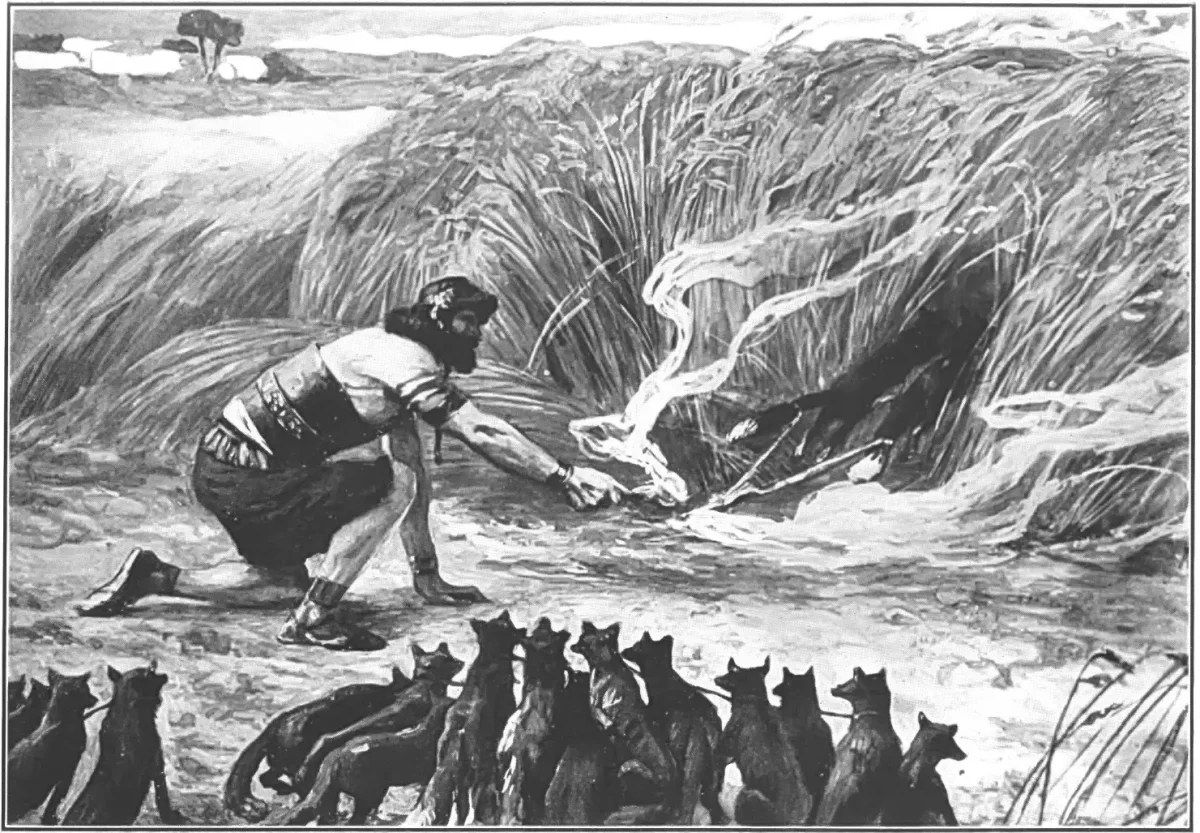 Самсон и лисы