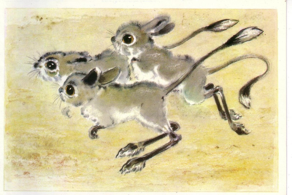 Тушканчик рисунок карандашом