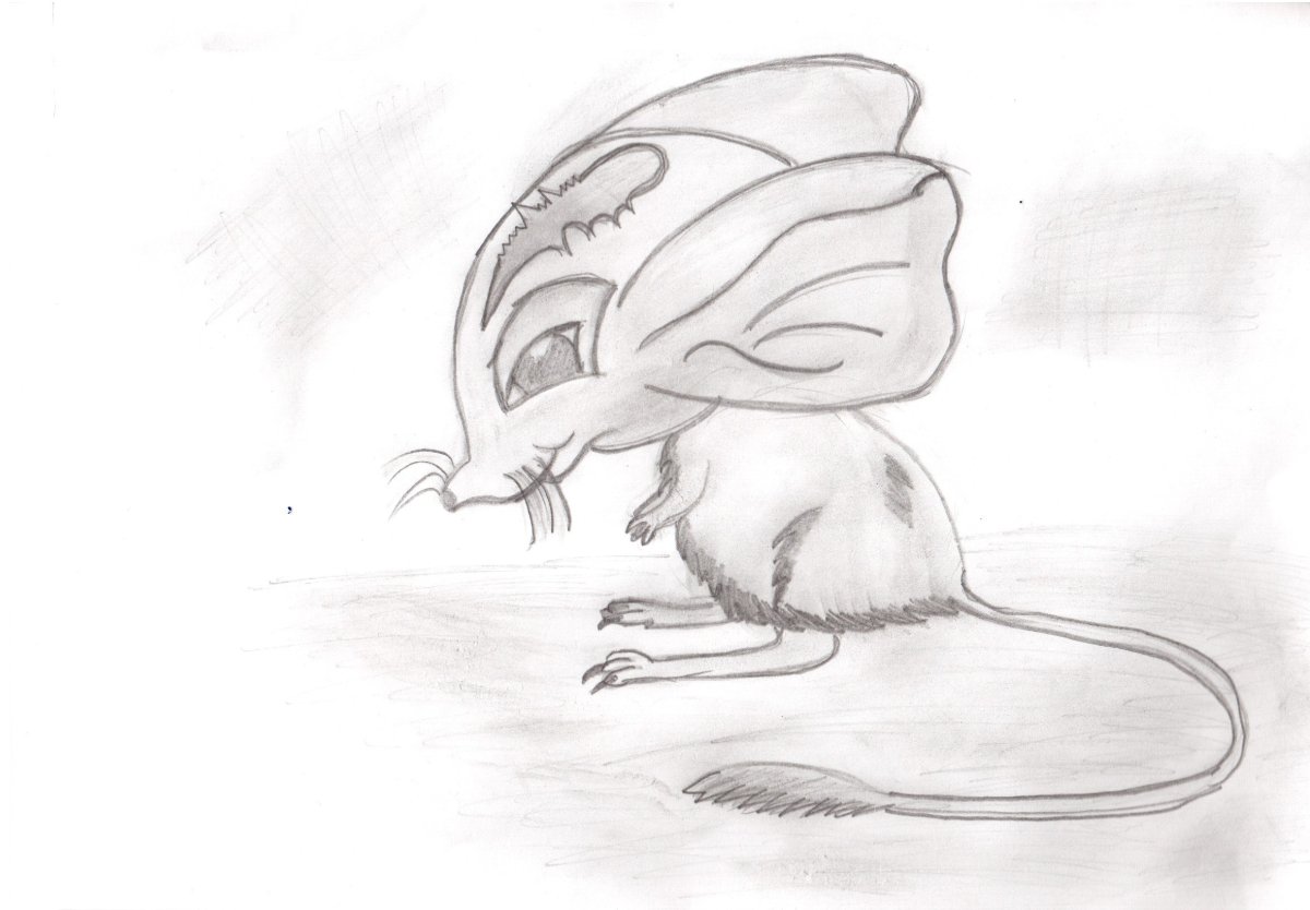 Тень тушканчика