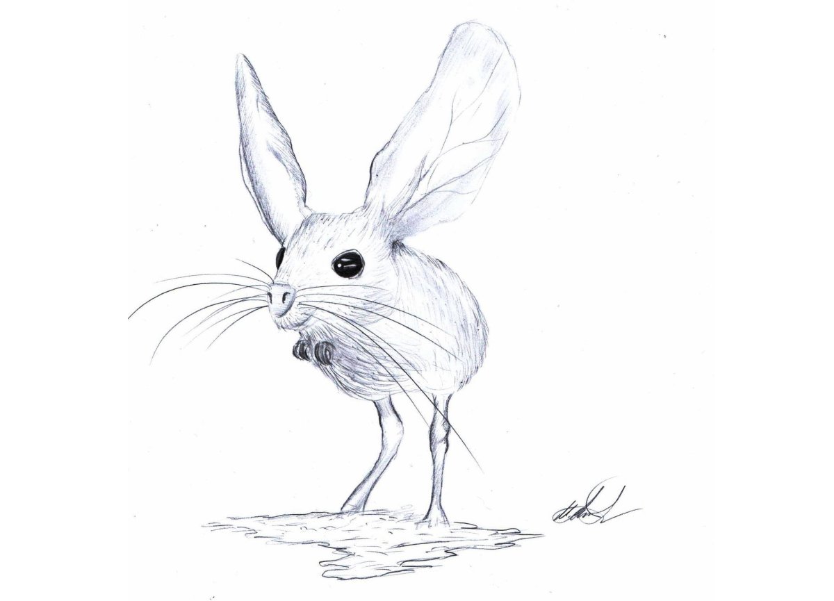 Большой тушканчик