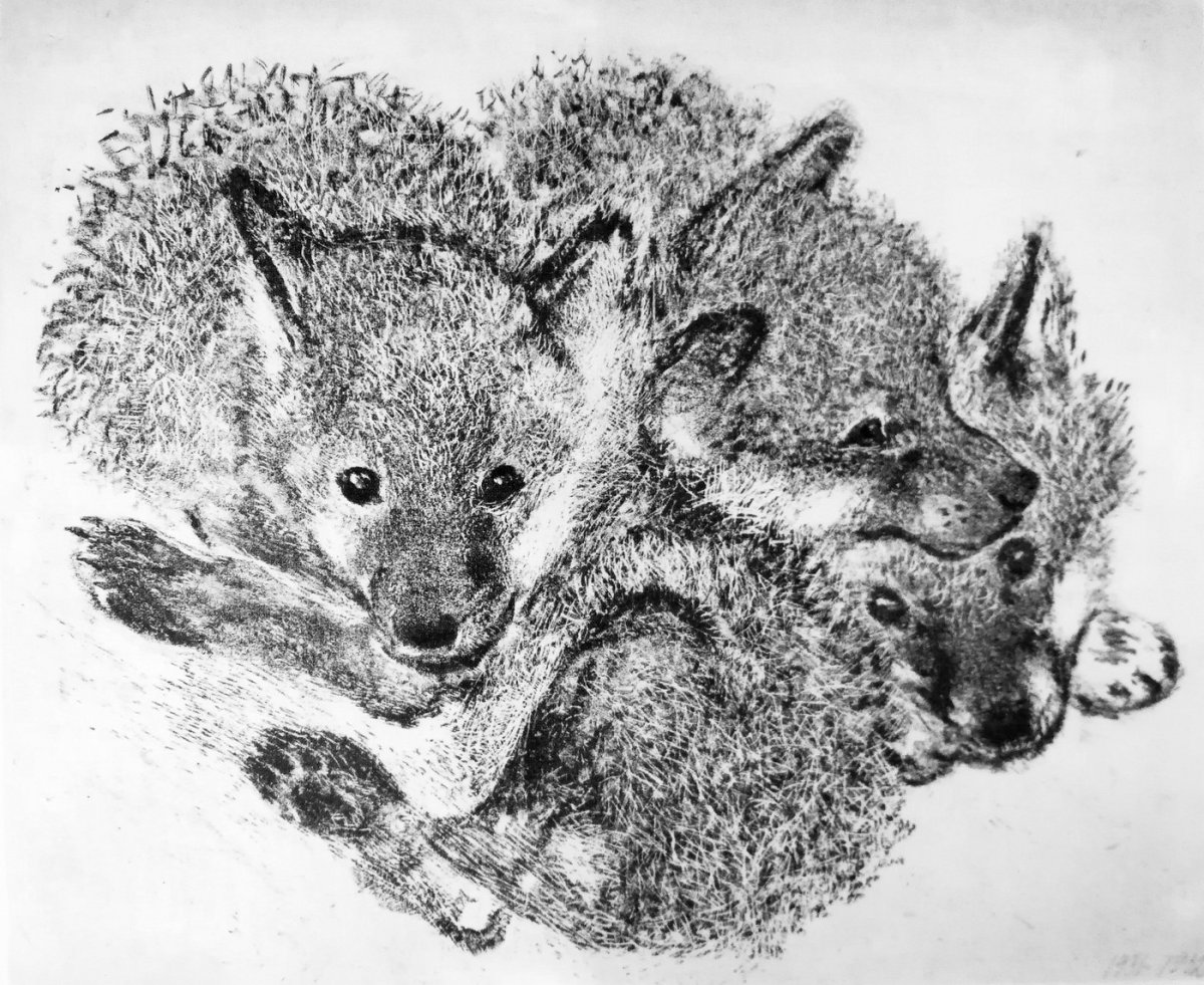 Средства выразительности художника Евгения Чарушина