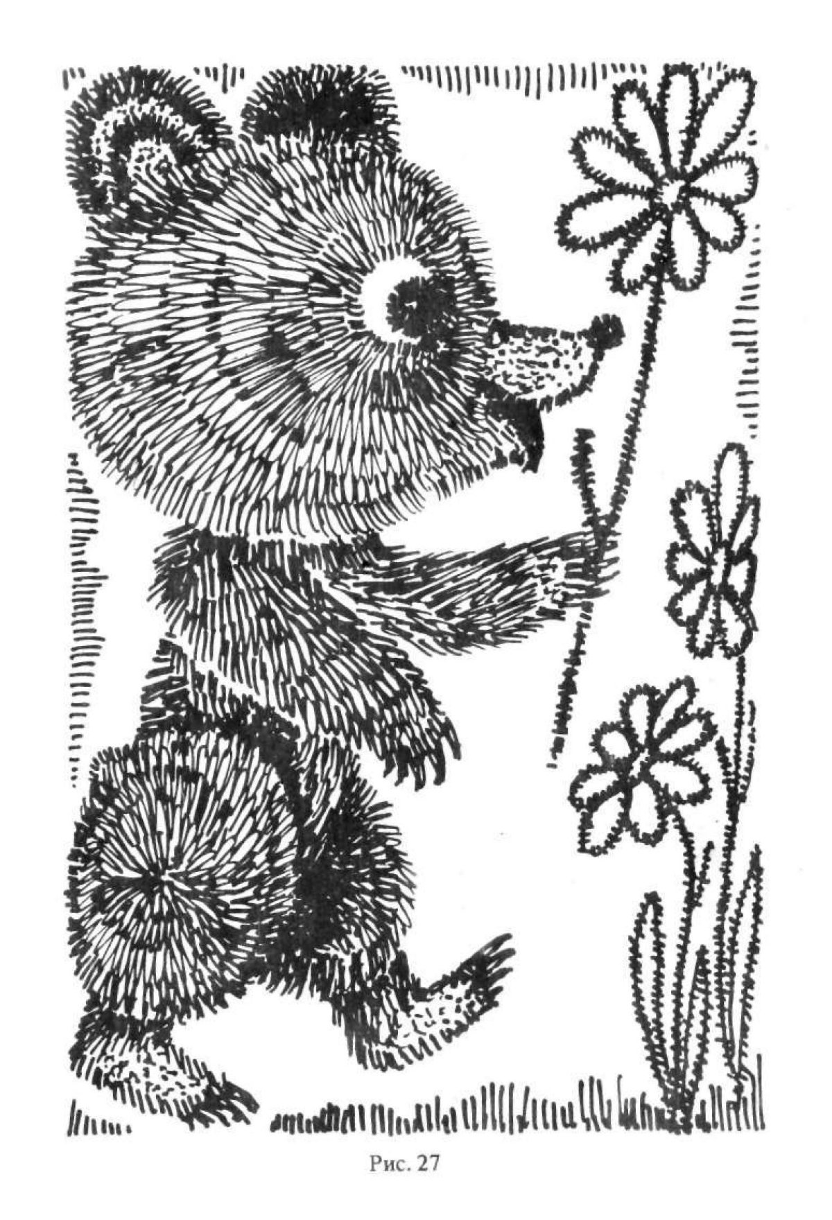 Чарушин Волчишко