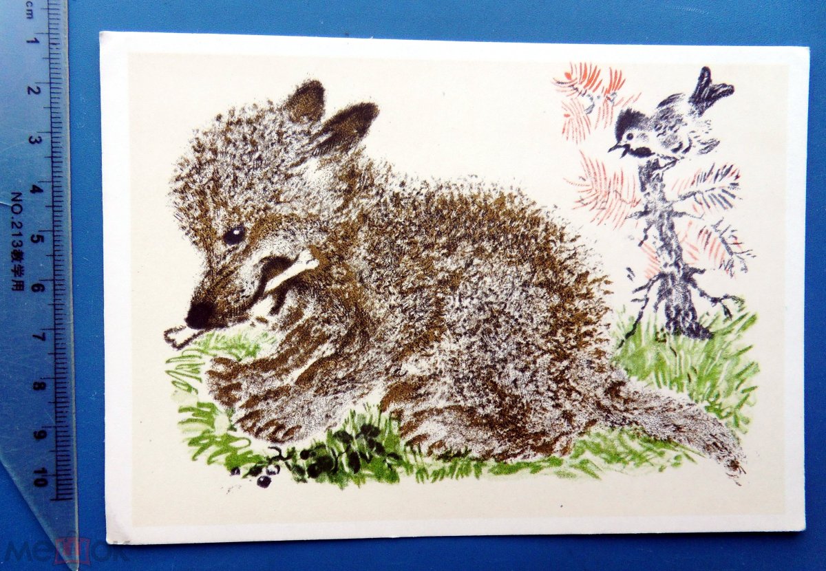 Детские иллюстрации к произведениям Чарушина