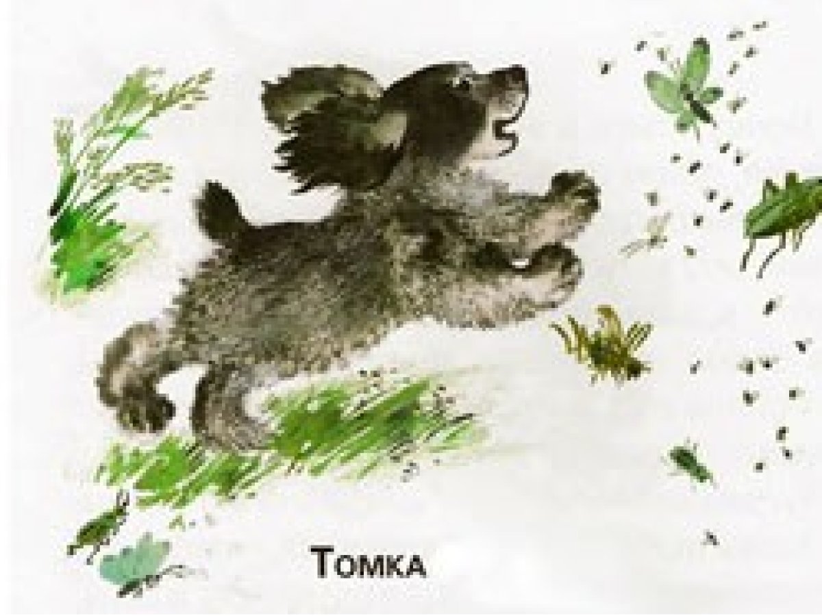 Евгений Чарушин дети в клетке