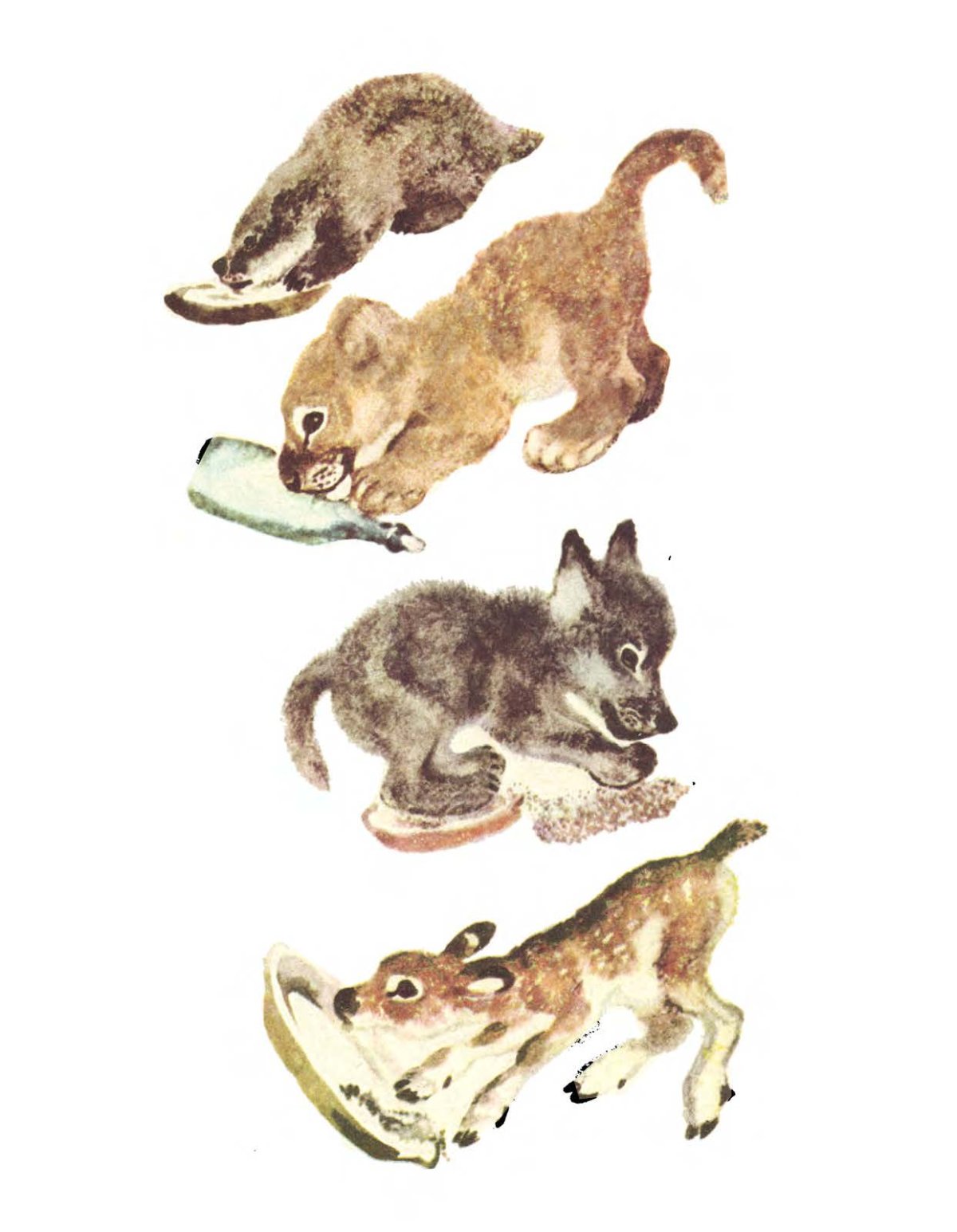 Раскраска Весна птицы