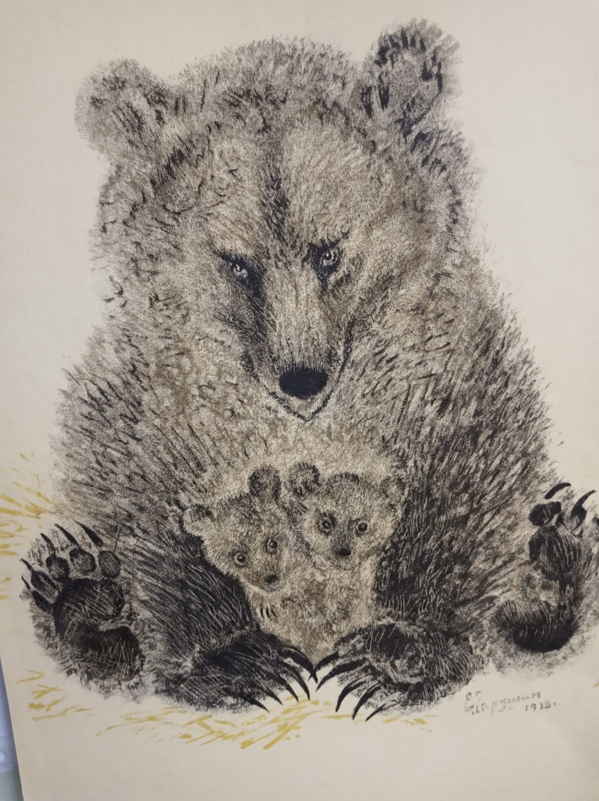 Кот Тюпа Чарушина