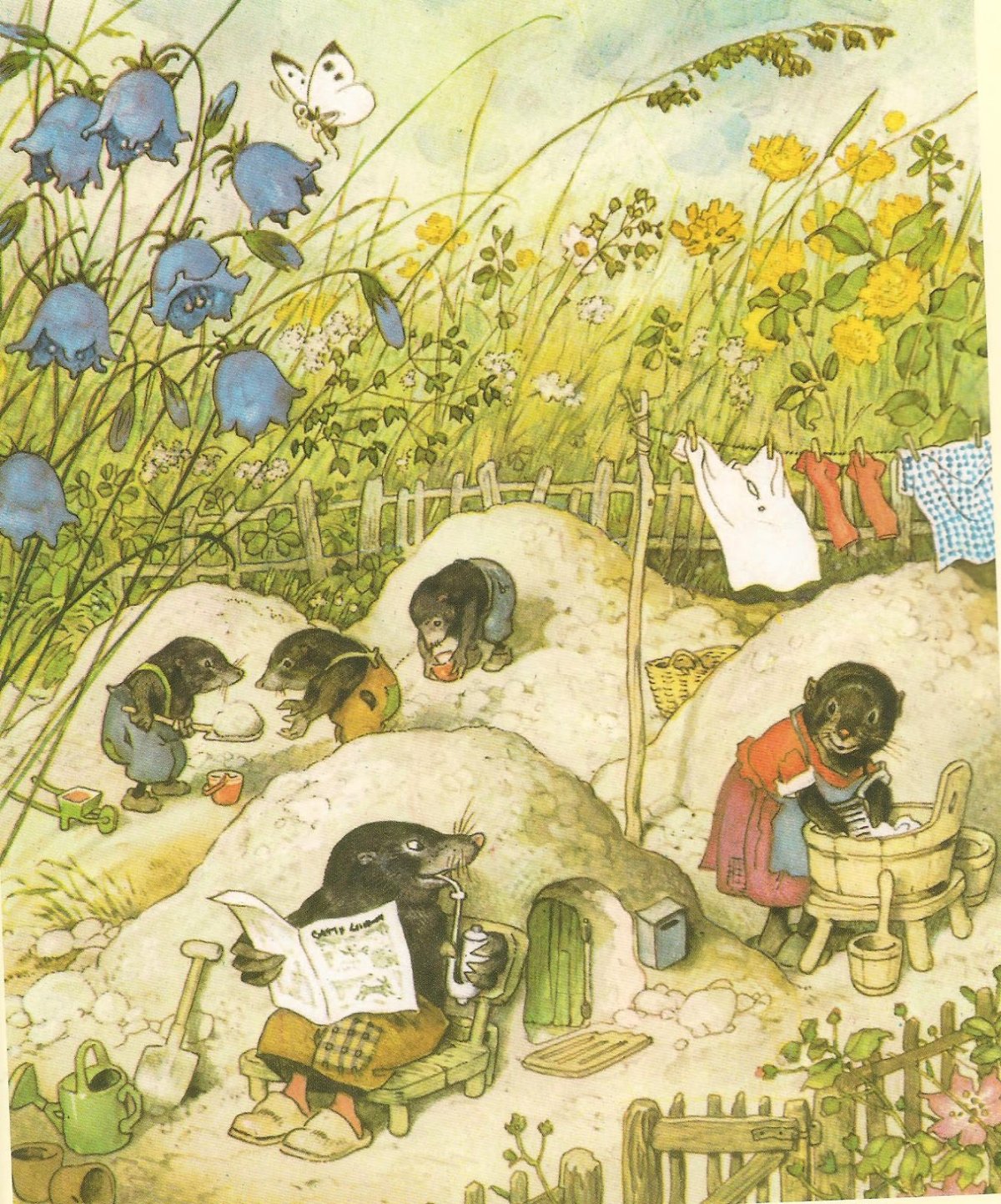 Fritz Baumgarten иллюстрации