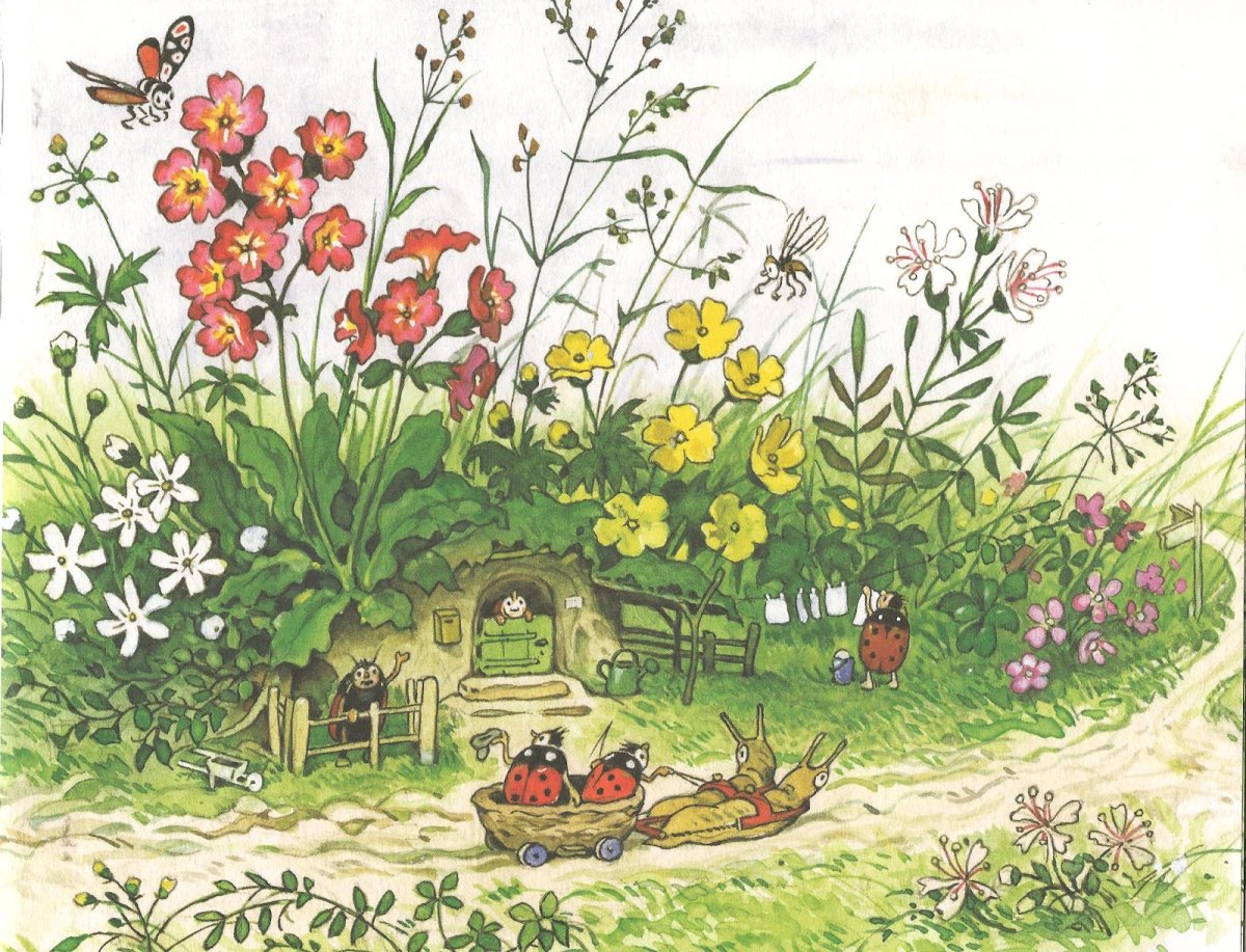 Иллюстрация Лесные насекомые