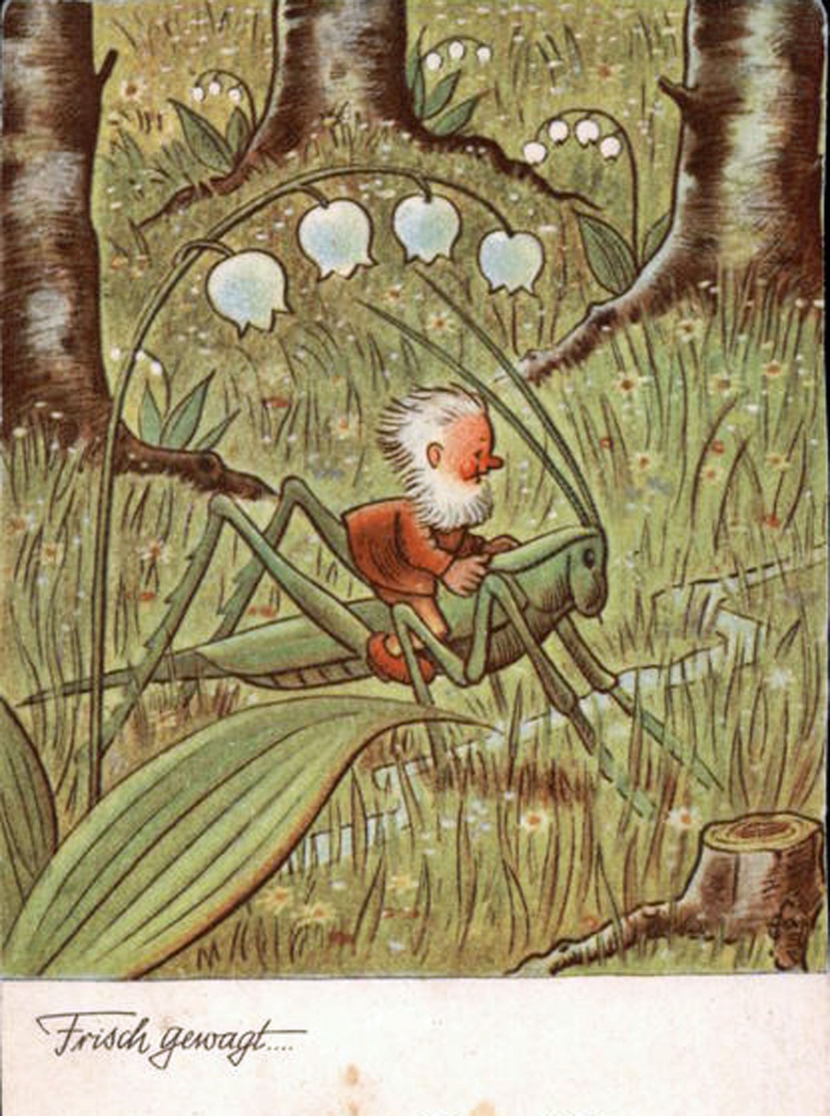 Иллюстратор Баумгартен Фриц