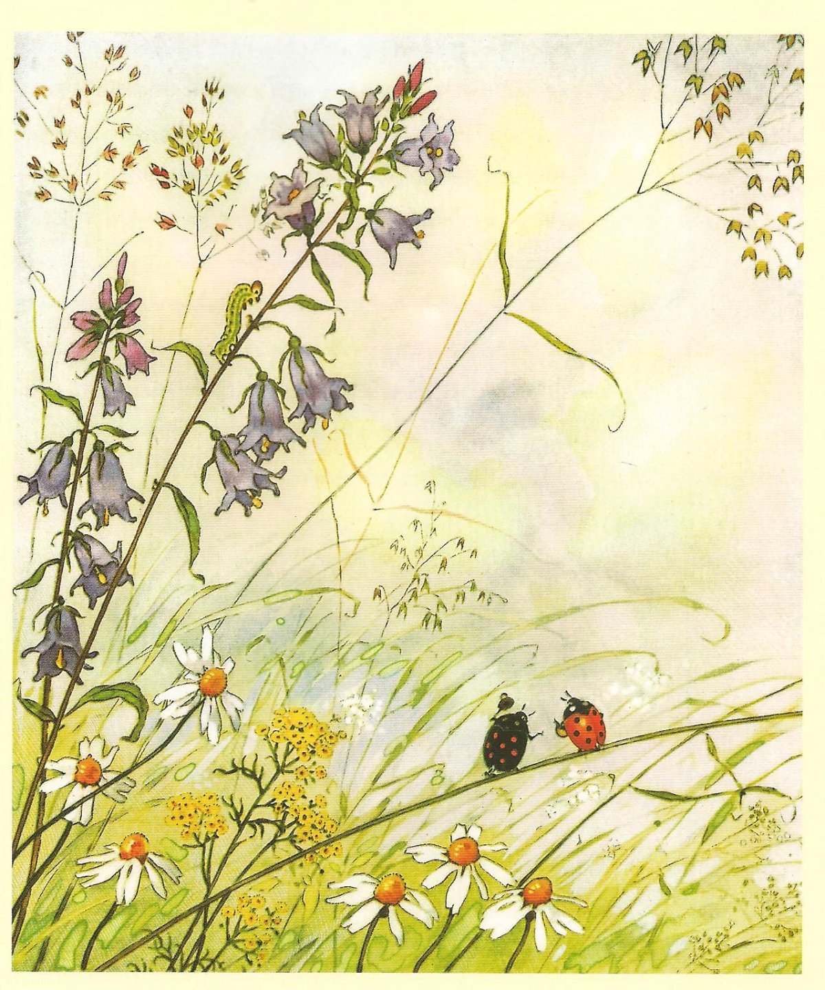 Фриц Баумгартен