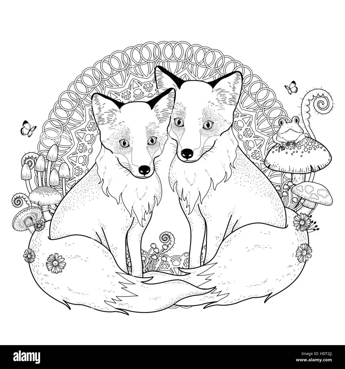 Антистрессовая раскраска волк