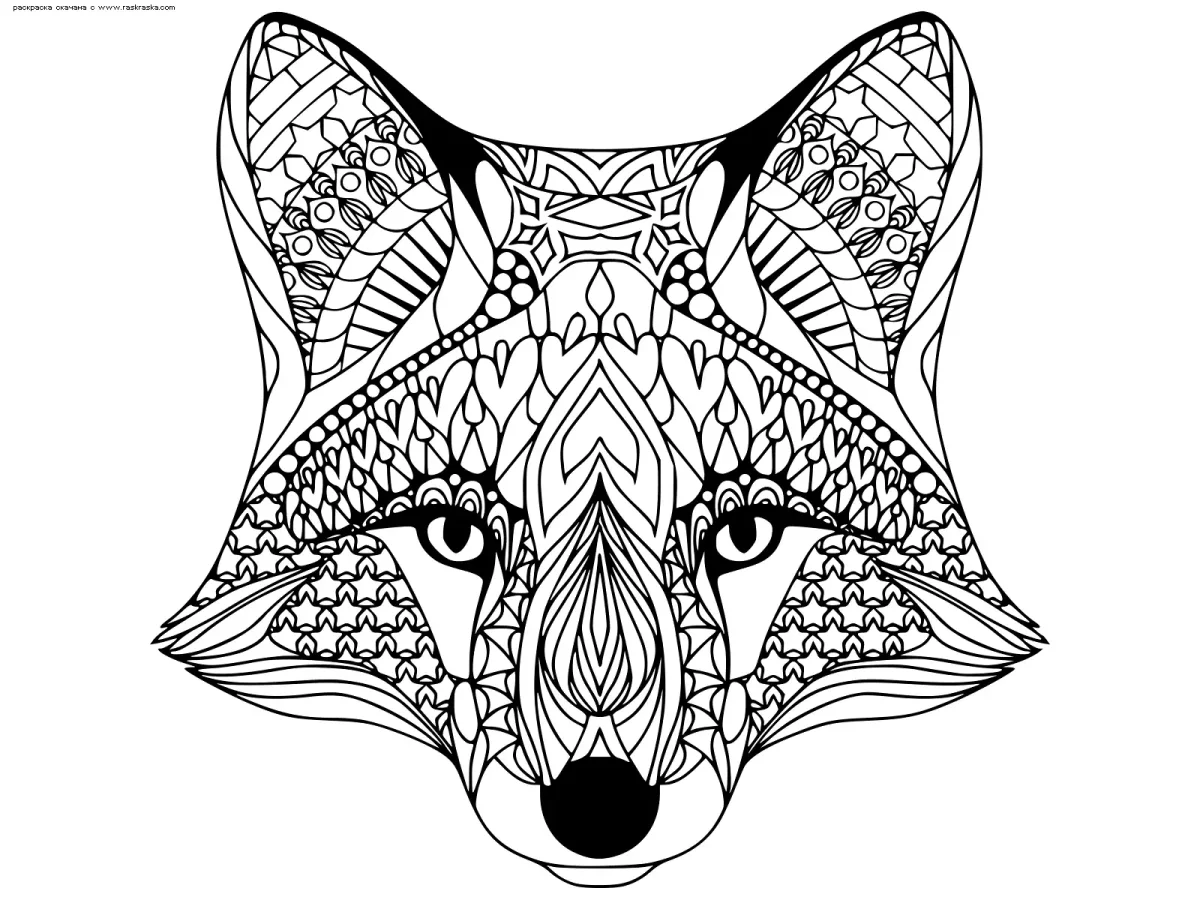 Раскраска лиса