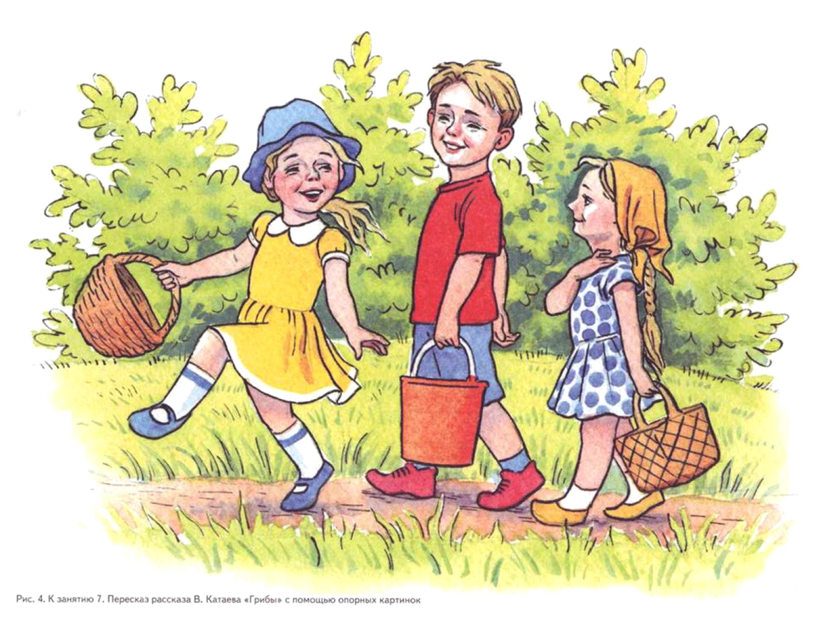 Катаев грибы иллюстрации