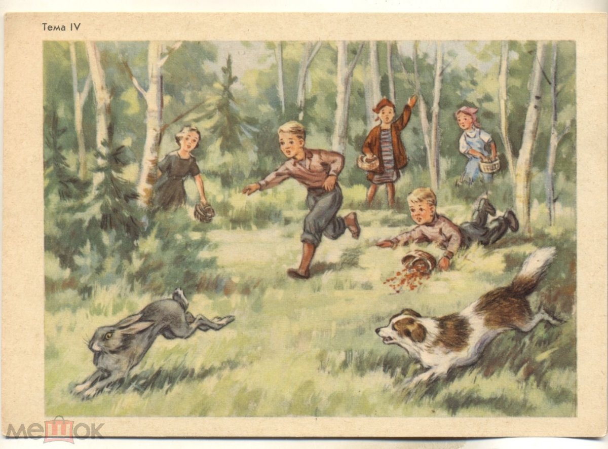 Текст грибы в Катаева