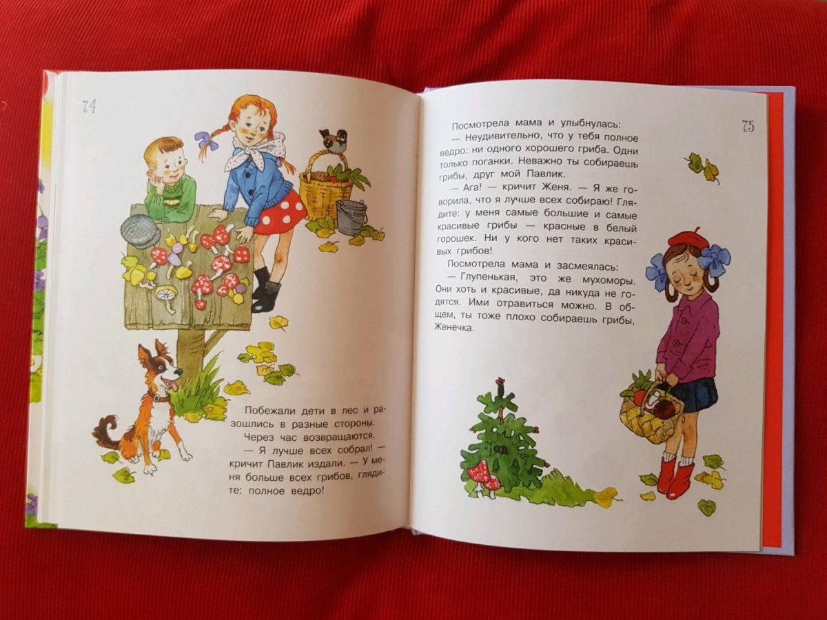 Рассказ грибы Катаев