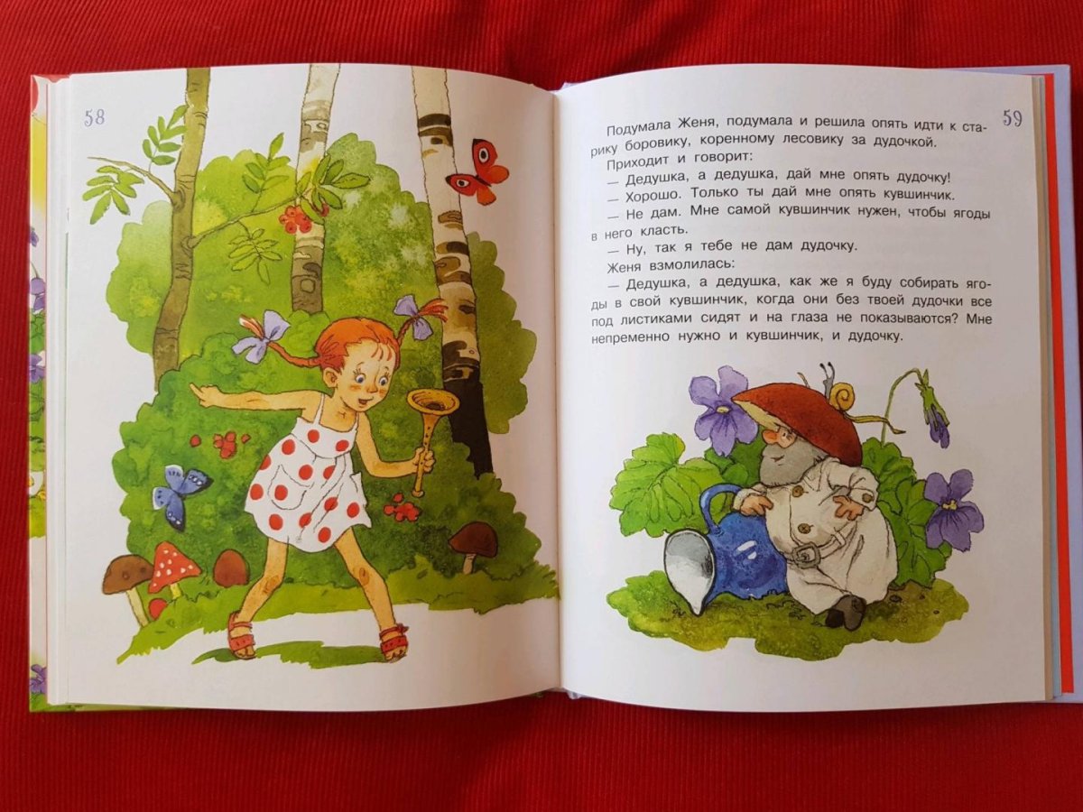 Катаев грибы иллюстрации