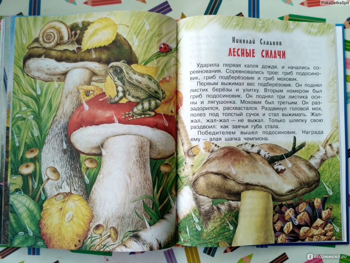 Эколог на работе сюжетная картинка