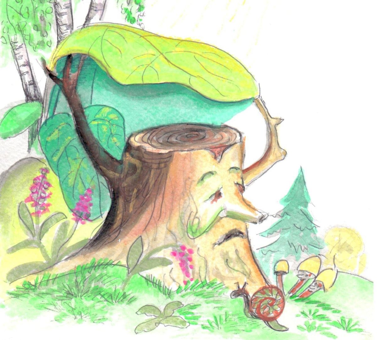 Иллюстрации к сказке Катаева дудочка и кувшинчик