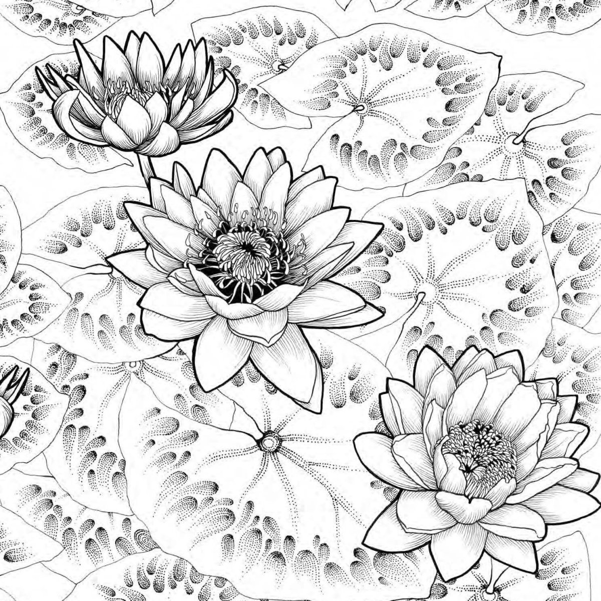 Раскраска антистресс Лотос