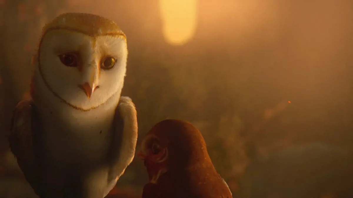 Мультик Совы легенды ночных стражей