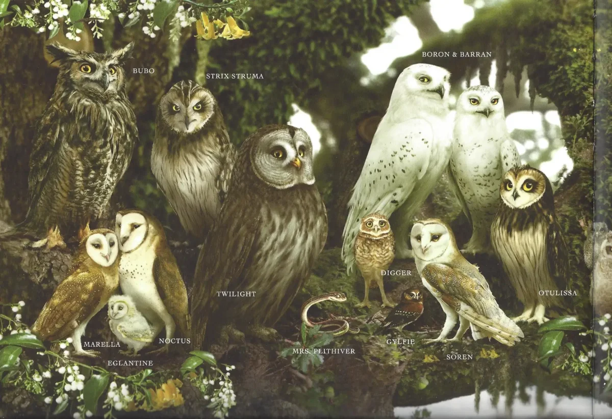 Легенды ночных стражей мультфильм