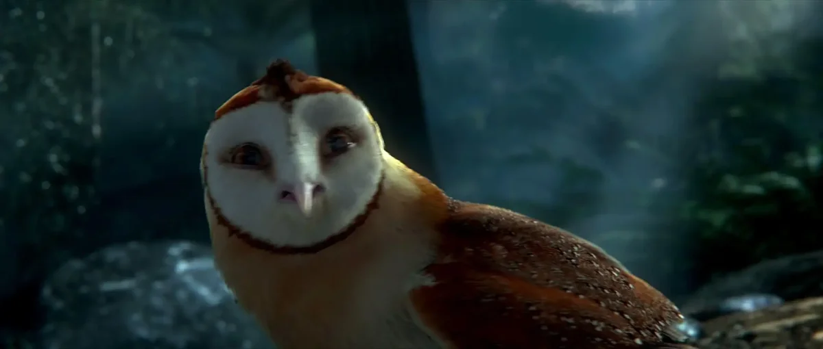 Мультфильм про сов легенды ночных стражей