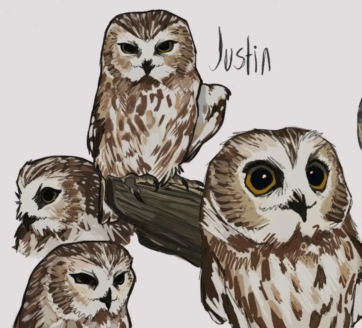 Ночные Стражи Совы игрушки